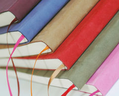 Definitely,Not,Straight,(notebook),notebooks, notebook, bookery, blank, Definitely Not Straight, stationery