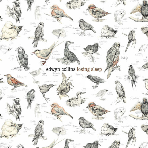 EDWYN,COLLINS:,LOSING,SLEEP,LP,Losing Sleep, Edwyn Collins, solo albums
