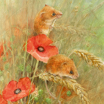 cards for autumn from Karenza Paperie