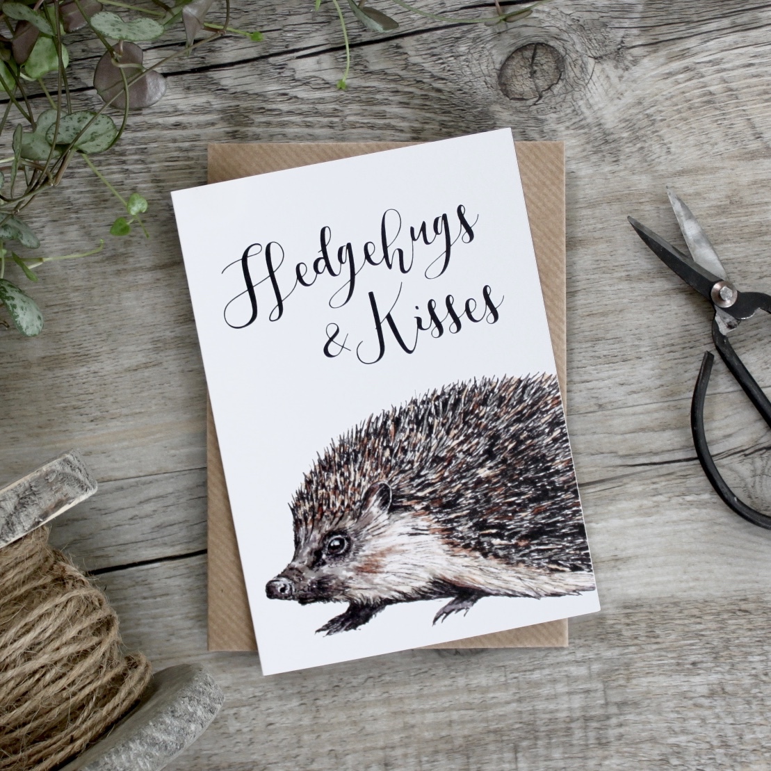 buy hedgehog cards online from karenza paperie
