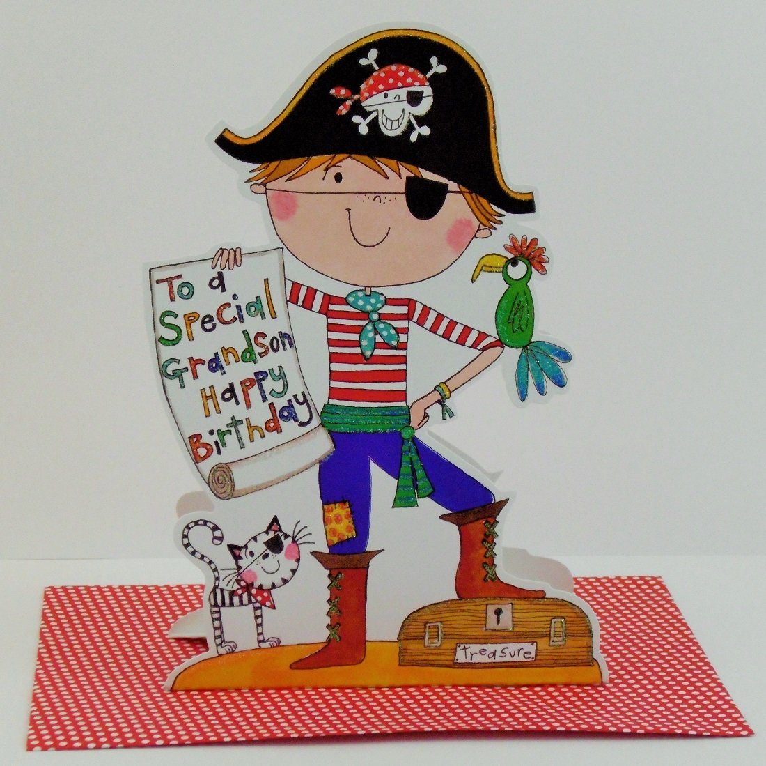 half price sale 50% off 1/2 price buy special grandson birthday card online at karenza paperie grandson cards cat priate boy parrot