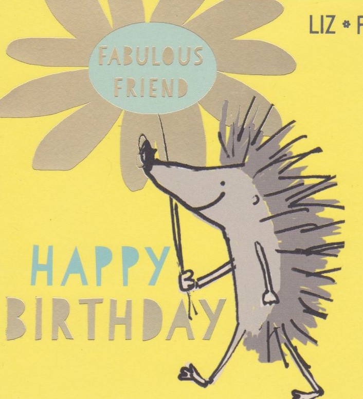 buy best friend birthday cards online at karenza paperie flowers hearts cute special friend someone special birthday cards for her and him