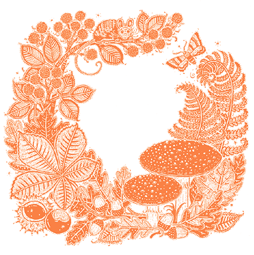 buy autumnal greetings cards online at karenza paperie for family age female birthday occasions anniversary