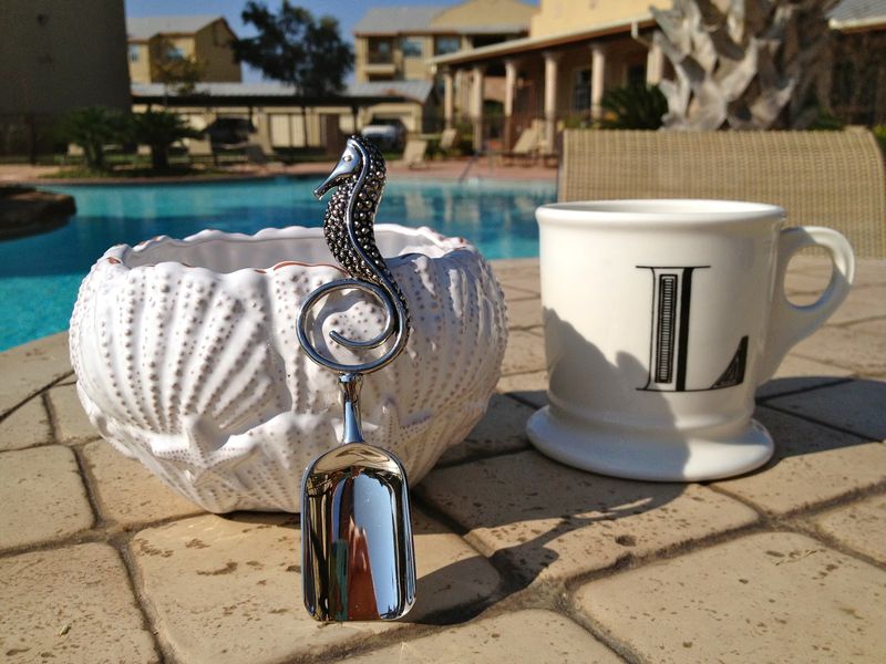 Shell bowl set with scoop - product image  