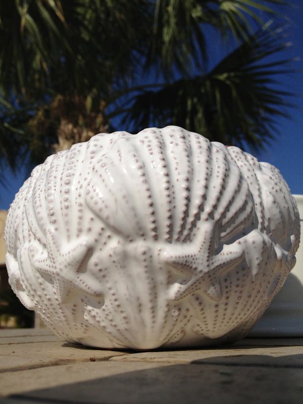 Shell bowl set with scoop - product image  