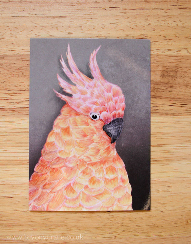 Pink Cockatoo Postcard Print - product images