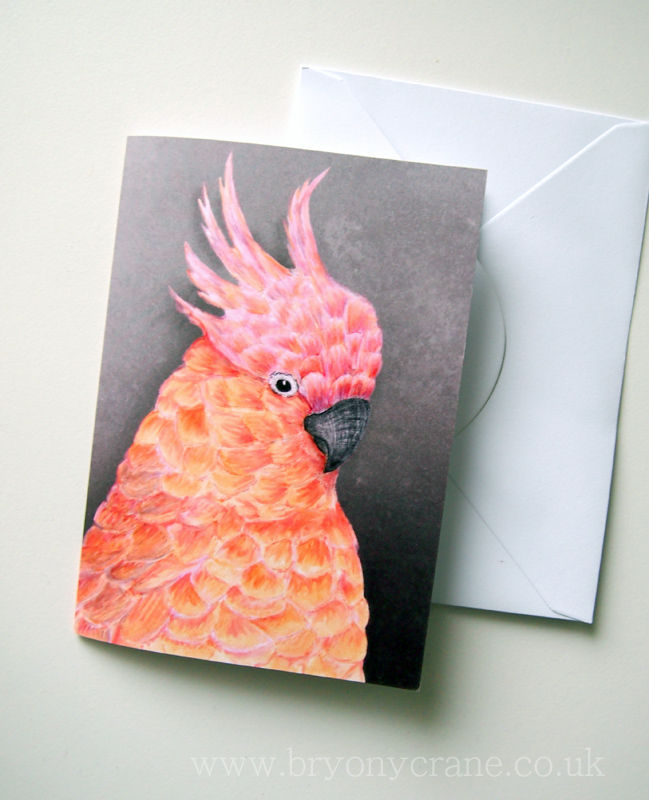Illustrated Greetings Card - Cockatoo - product images