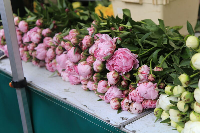 Plum's Immersive 5-Day French Culinary Program - Spring 2027 - product image