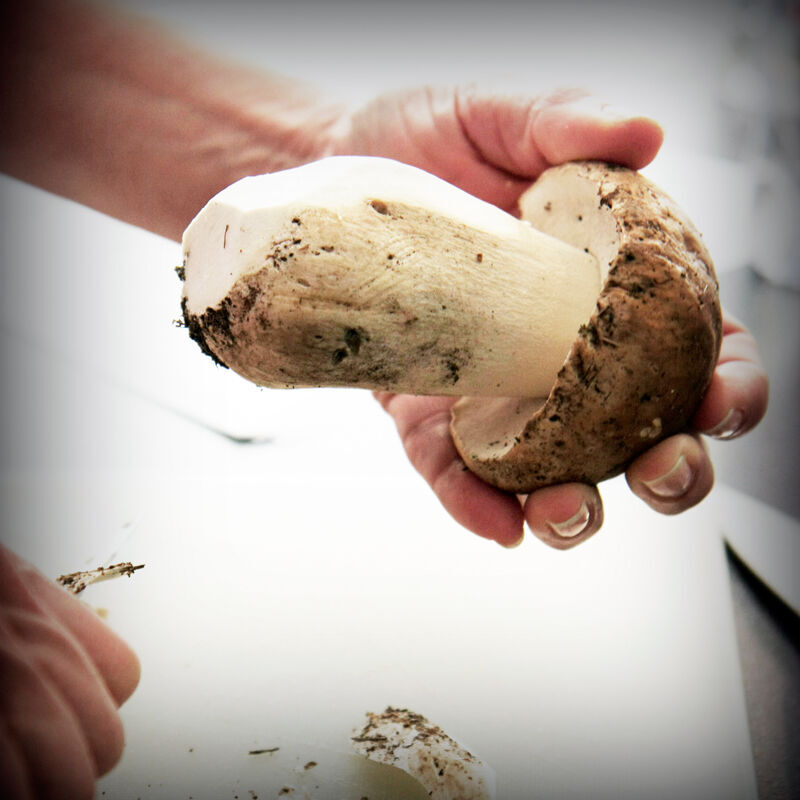 Plum's Immersive 5-Day French Culinary Program - Autumn 2027 - product image