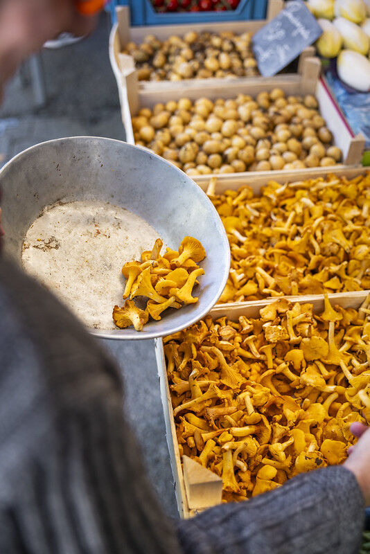 Plum's Immersive 5-Day French Culinary Program - Autumn/Winter 2027 - product image