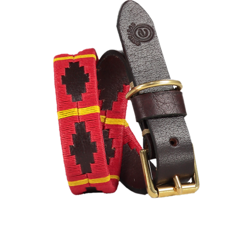 Fino Iberico Polo Dog Collar - 2cm - product images