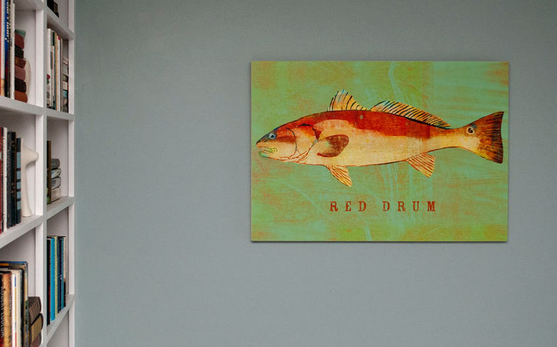 Saltwater Fish Art Series Big Fish Art Box Pick The Print 24