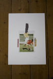 product images  of 