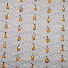 Product images  of 