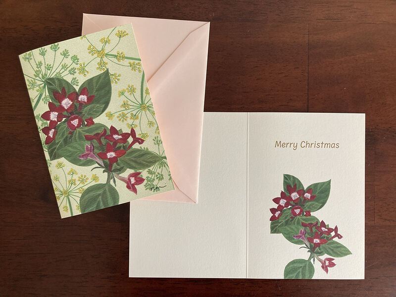 Christmas Card Bouvardia - product images  of 