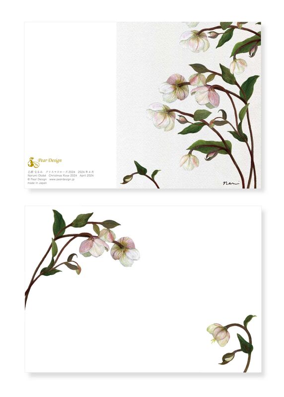 Greeting Card  Christmas Rose 2024 - product images  of 