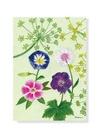 New,Year,Card,Summer,2025,in,England,postcard, new year, fennel, flower, paper, illustration, Japanese, corn flower, original card, acrylics, rozanne, geranium