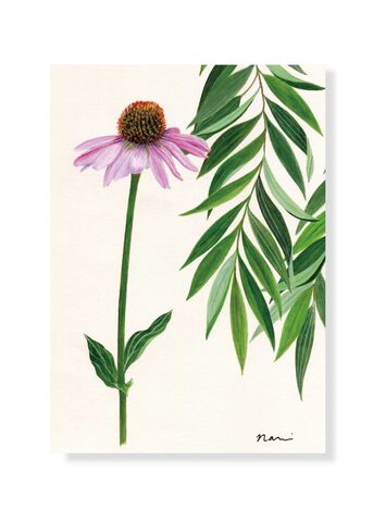 Postcard,Echinacea,postcard, paper, original design, illustration, echinacea, willow, plant, art nouveau, Japanese, acrylics, flower