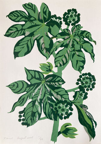 Screen,Print,Japonica,screen print, Japanese, paper, japonica, A3, limited edition, ink, hand print, leaves, flower, green