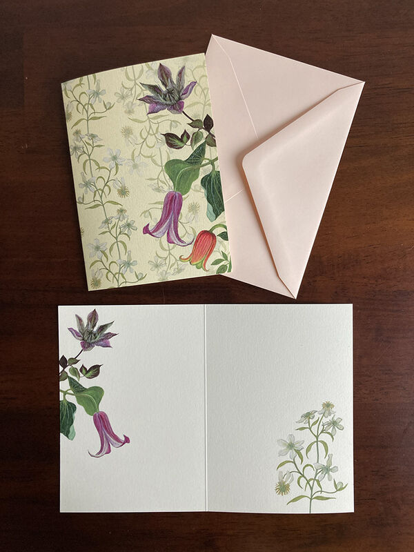 Greeting Card  Assorted Clematis - product images  of 