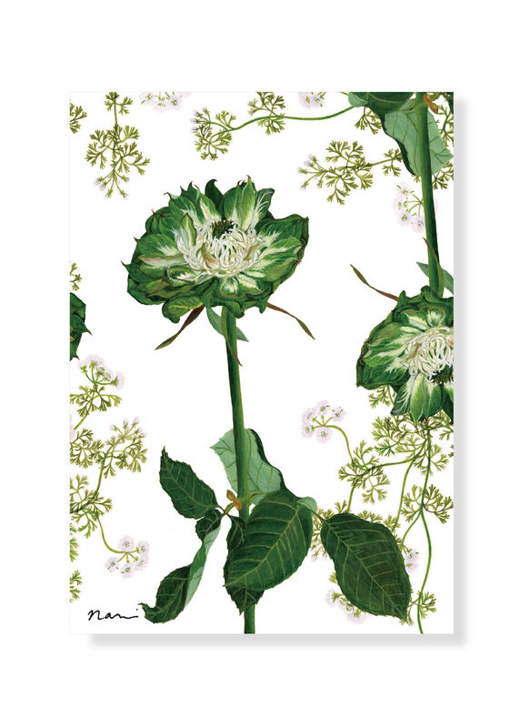 Postcard  Rose Veggie - product images  of 
