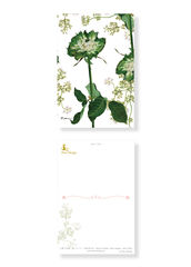 Product images  of 