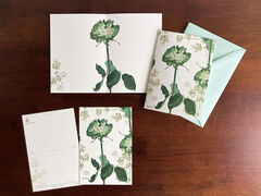 Product images  of 