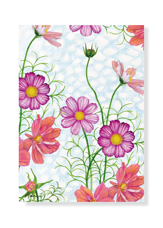 Greeting Card  Cosmos and Mackerel - product images  of 