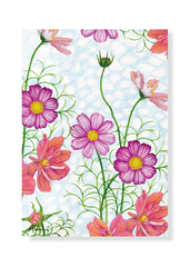 Product images  of 