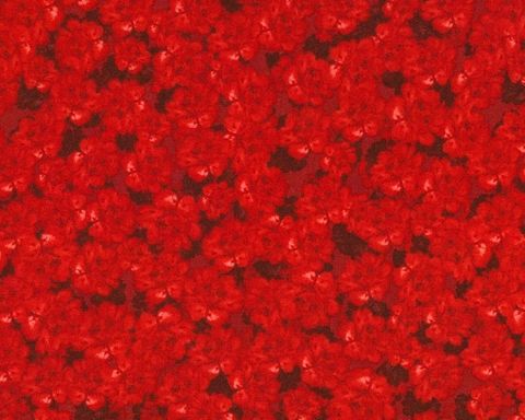 Cotton,Quilt,Fabric,Colette,Red,Packed,Flowers,Tone,On,,quilt backing, dresses, quilt fabric,cotton material,auntie chris quilt,sewing,crafts,quilting,online fabric,sale fabric