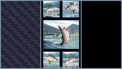 Product images  of 