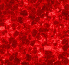 Product images  of 