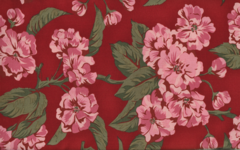 Product images  of 