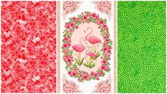 Product images  of 