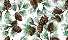 Product images  of 