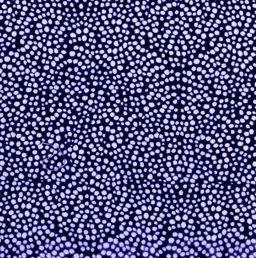 Fat Quarter Shop Cotton Fabric Pre Cut Fat Quarters - product images  of 