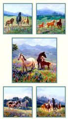 Product images  of 