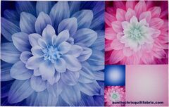 Product images  of 