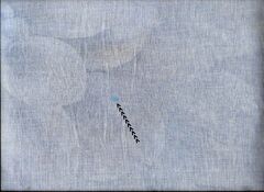 Product images  of 