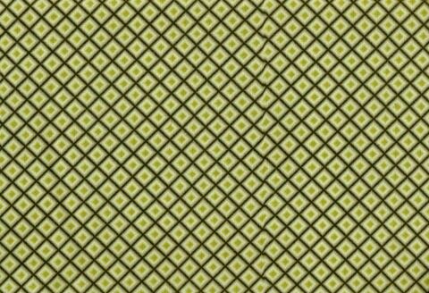 Cotton,Quilt,Fabric,Maple,Stories,Earth,Tone,Check,Gray,Green,quilt fabric,cotton material,auntie chris quilt,sewing,crafts,quilting,online fabric,sale fabric