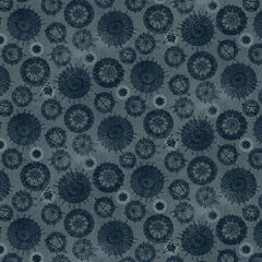 Product images  of 