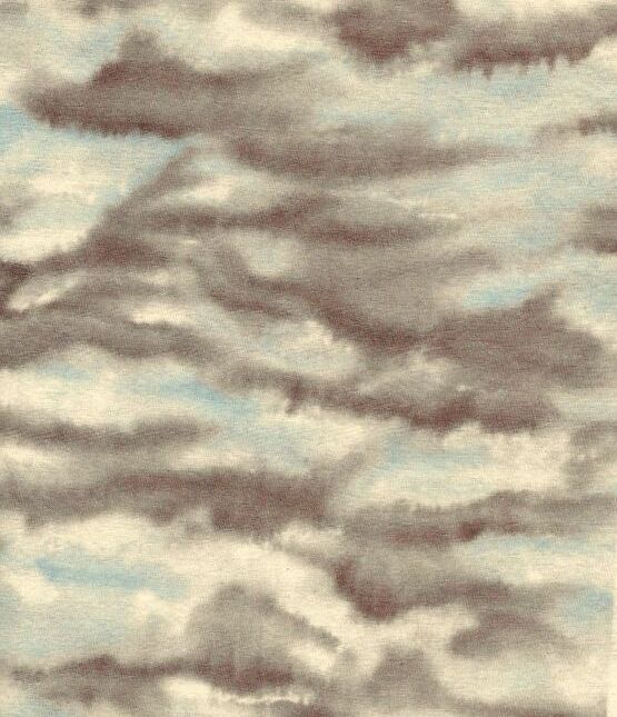 Fat Quarter Shop Cotton Fabric Pre Cut Fat Quarter Sky Dye lt blue Brown - product image