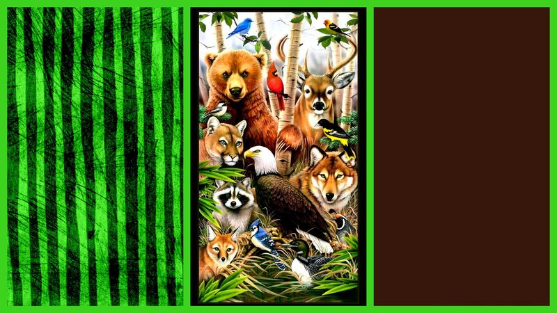 Easy Fabric Panel Quilt Kit Wildlife Refuge Animals - product images  of 