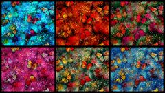 Product images  of 
