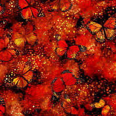 Product images  of 