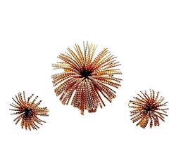 Product images  of 