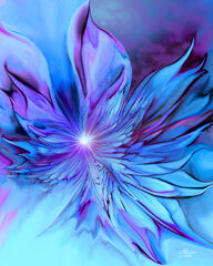 Product images  of 