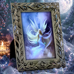 Product images  of 