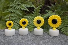 sunflower,4,set