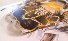 Product images  of 